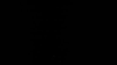 immagine della webcam nei dintorni di Alpet: webcam Susa