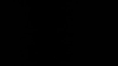 immagine della webcam nei dintorni di Alpet: webcam Susa