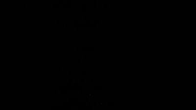 Preview delle webcam di Susa