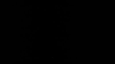 Preview delle webcam di Susa