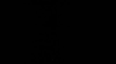 immagine della webcam nei dintorni di Pra Catinat: webcam Susa