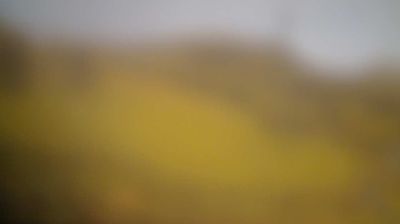 immagine della webcam nei dintorni di Frassinetto: webcam Alpette
