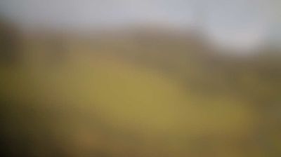 immagine della webcam nei dintorni di Ribordone: webcam Alpette