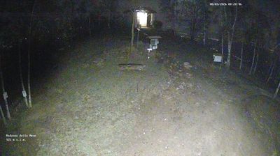 immagine della webcam nei dintorni di Caselle Torinese: webcam Rocca Canavese