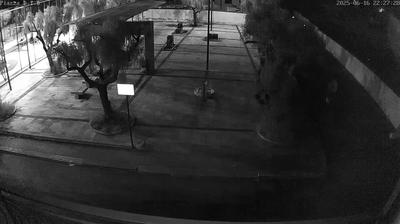 immagine della webcam nei dintorni di Locorotondo: webcam Conversano