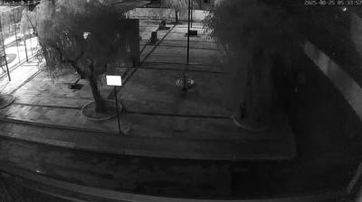immagine della webcam nei dintorni di Polignano a Mare: webcam Conversano