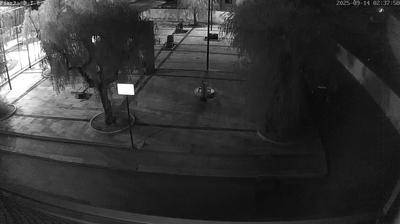 immagine della webcam nei dintorni di Mola di Bari: webcam Conversano
