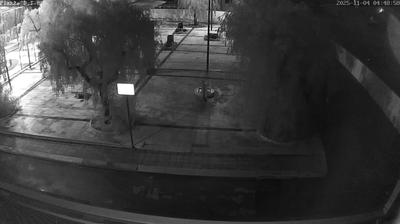 immagine della webcam nei dintorni di Selva di Fasano: webcam Conversano