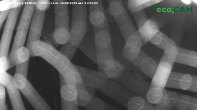 immagine della webcam nei dintorni di Valdagno: webcam Lessinia
