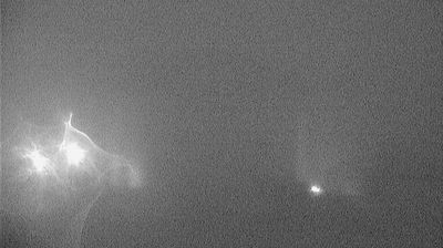 immagine della webcam nei dintorni di Casarsa della Delizia: webcam Spilimbergo