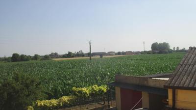 immagine della webcam nei dintorni di Rovigo: webcam Merlara