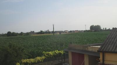 immagine della webcam nei dintorni di Asigliano Veneto: webcam Merlara