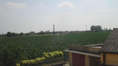 immagine della webcam nei dintorni di Torreglia: webcam Merlara