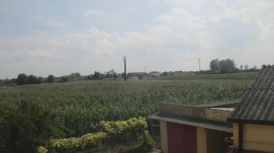 immagine della webcam nei dintorni di Pozzonovo: webcam Merlara