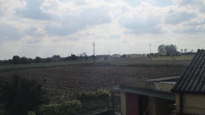 immagine della webcam nei dintorni di Cerea: webcam Merlara