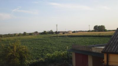 immagine della webcam nei dintorni di Rovigo: webcam Merlara