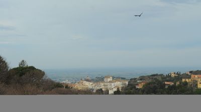 immagine della webcam nei dintorni di Roma San Paolo: webcam Ariccia