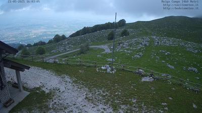 immagine della webcam nei dintorni di Pian del Cansiglio: webcam Piancavallo