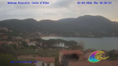 immagine della webcam nei dintorni di Marciana Marina: webcam Procchio
