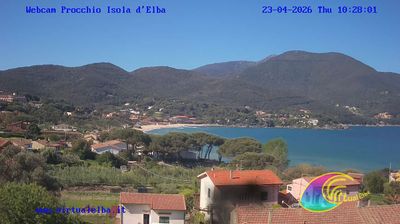 immagine della webcam nei dintorni di Marciana: webcam Procchio