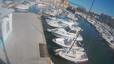 immagine della webcam nei dintorni di San Rossore: webcam Livorno