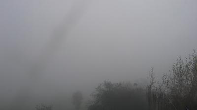 immagine della webcam nei dintorni di Tonadico: webcam Passo di Gobbera