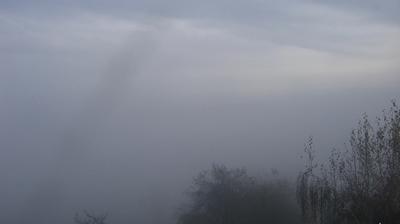 immagine della webcam nei dintorni di Pale di San Martino: webcam Passo di Gobbera