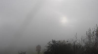 immagine della webcam nei dintorni di Passo Brocon: webcam Passo di Gobbera