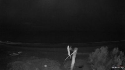 immagine della webcam nei dintorni di Ostia: webcam Torvaianica