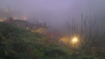 immagine della webcam nei dintorni di Pelago: webcam Ortignano Raggiolo