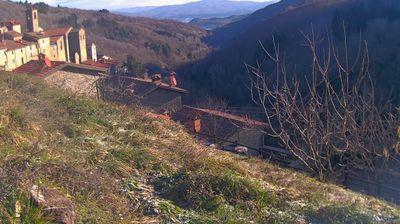 immagine della webcam nei dintorni di Montemignaio: webcam Ortignano Raggiolo