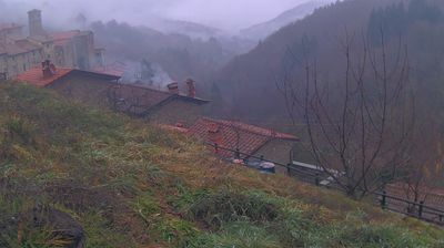 immagine della webcam nei dintorni di Pelago: webcam Ortignano Raggiolo