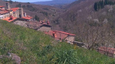 immagine della webcam nei dintorni di Passo della Consuma: webcam Ortignano Raggiolo