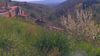 immagine della webcam nei dintorni di Montebonello: webcam Ortignano Raggiolo
