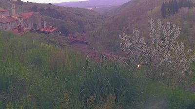 immagine della webcam nei dintorni di Sieci: webcam Ortignano Raggiolo