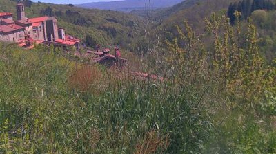 immagine della webcam nei dintorni di Ridracoli: webcam Ortignano Raggiolo