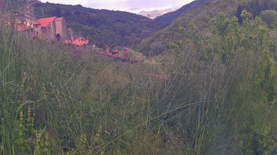 immagine della webcam nei dintorni di Passo della Consuma: webcam Ortignano Raggiolo