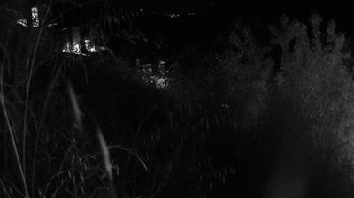immagine della webcam nei dintorni di Rignano sull'Arno: webcam Ortignano Raggiolo