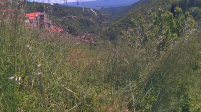 immagine della webcam nei dintorni di Loro Ciuffenna: webcam Ortignano Raggiolo