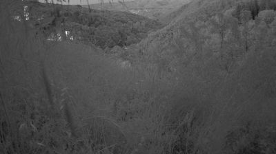 immagine della webcam nei dintorni di Eremo di Camaldoli: webcam Ortignano Raggiolo
