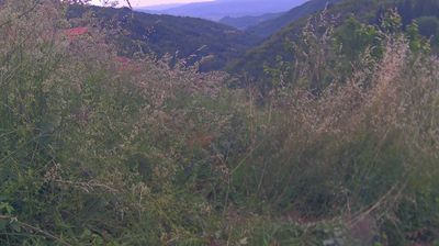 immagine della webcam nei dintorni di Figline e Incisa Valdarno: webcam Ortignano Raggiolo
