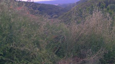 immagine della webcam nei dintorni di Campigna: webcam Ortignano Raggiolo