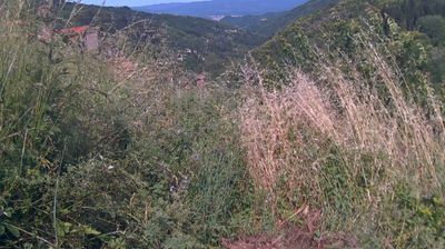 immagine della webcam nei dintorni di Loro Ciuffenna: webcam Ortignano Raggiolo