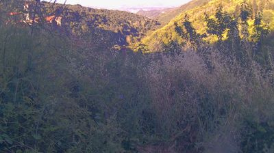 immagine della webcam nei dintorni di Arezzo: webcam Ortignano Raggiolo