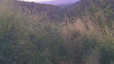 immagine della webcam nei dintorni di Loro Ciuffenna: webcam Ortignano Raggiolo