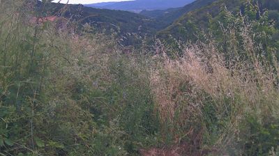 immagine della webcam nei dintorni di Arezzo: webcam Ortignano Raggiolo