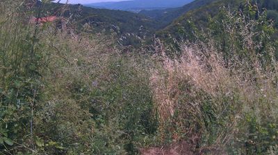 immagine della webcam nei dintorni di Rufina: webcam Ortignano Raggiolo