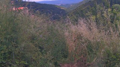 immagine della webcam nei dintorni di Stia: webcam Ortignano Raggiolo