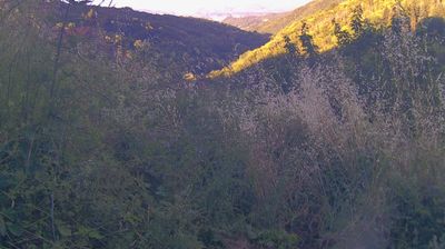 immagine della webcam nei dintorni di Bagno di Romagna: webcam Ortignano Raggiolo