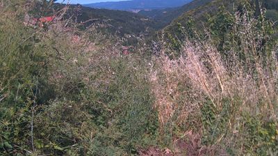 immagine della webcam nei dintorni di Castelfranco di Sopra: webcam Ortignano Raggiolo